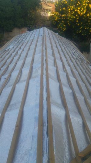 20161026_170157 (Medium)